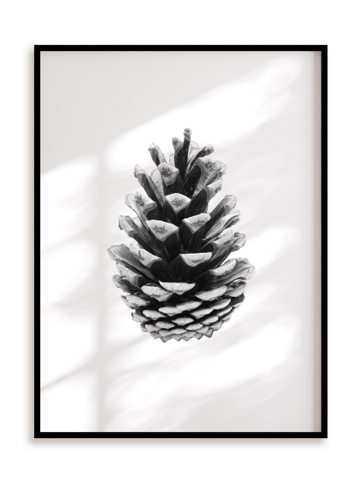 Plakat Szyszka w ramie aluminiowej
