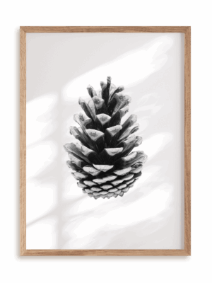 Plakat Szyszka w ramie drewnianej