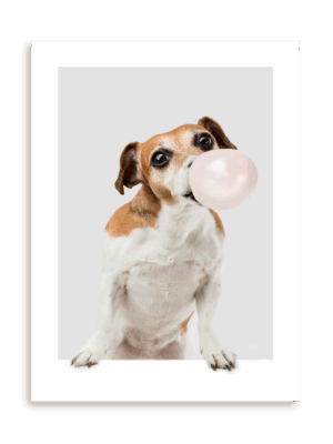 Plakat Odlotowy pies bez ramy