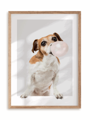Plakat Odlotowy pies w ramie drewnianej