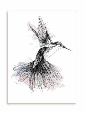 Plakat Rajski ptak bez ramy