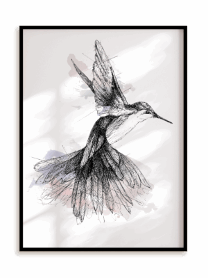 Plakat Rajski ptak w ramie aluminiowej