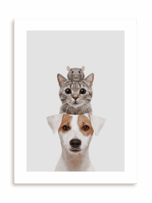 Plakat Idealne trio przyjaciół bez ramy