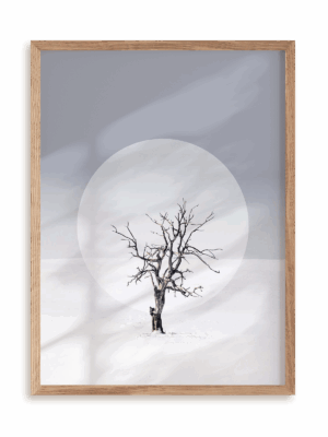 Plakat Samotne drzewo w ramie drewnianej