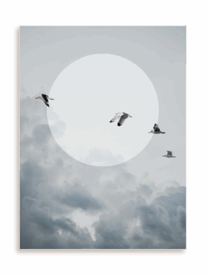 Plakat Klucz ptaków bez ramy