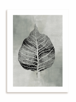 Plakat Rentgen liścia bez ramy