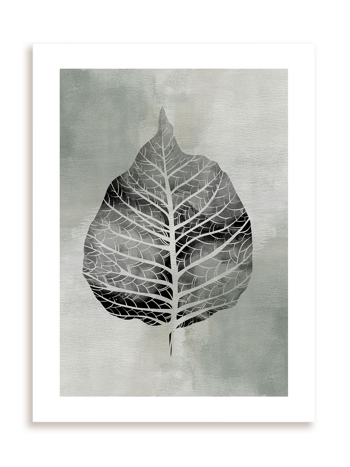 Plakat Rentgen liścia bez ramy