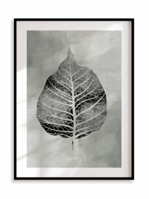 Plakat Rentgen liścia w ramie aluminiowej