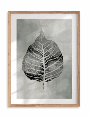 Plakat Rentgen liścia w ramie drewnianej