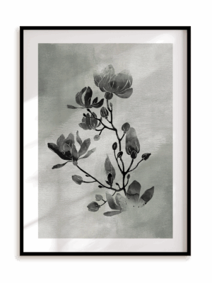 Plakat Rozkwitły czernią w ramie aluminiowej