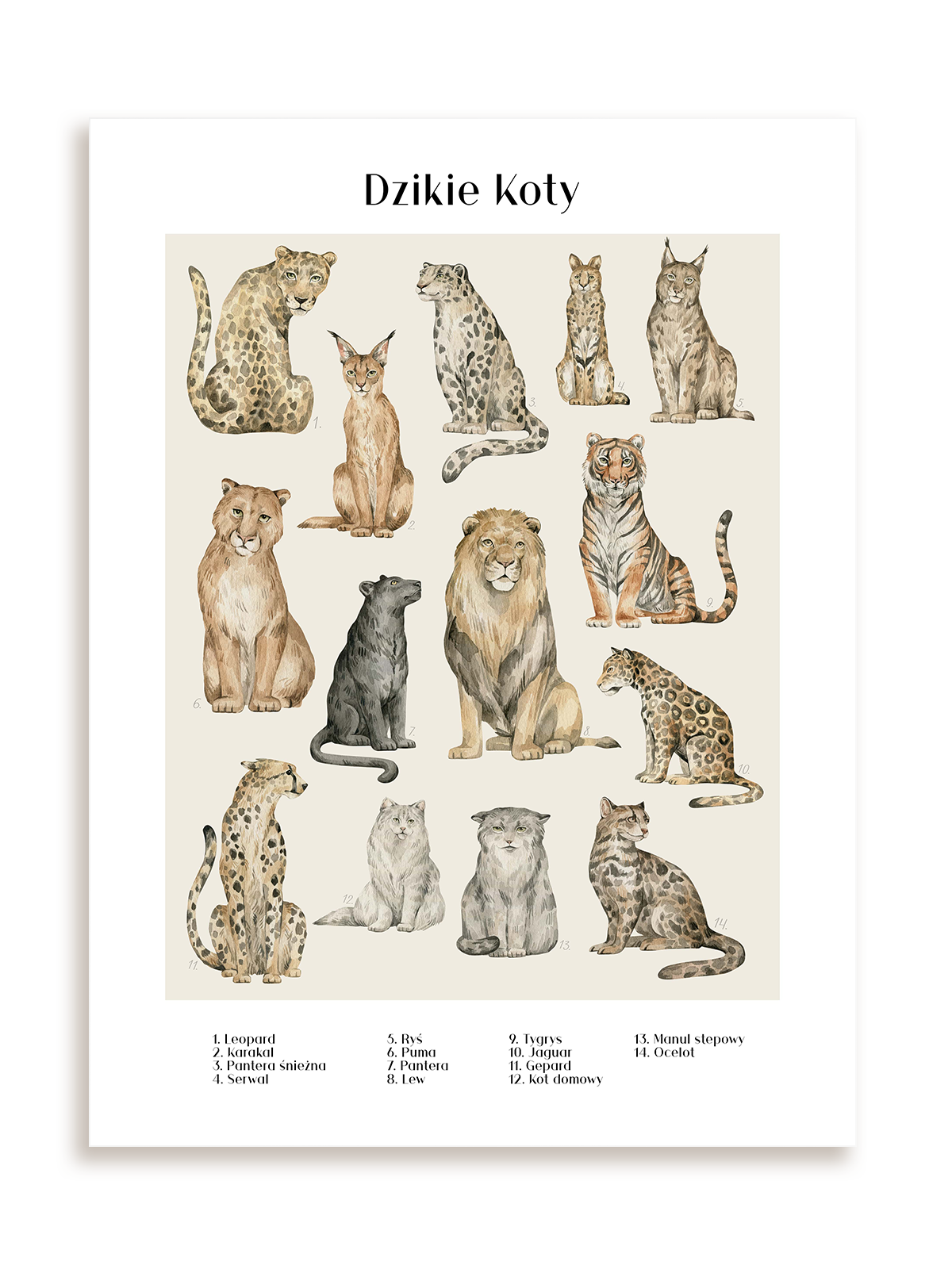 Plakat Dzikie koty bez ramy