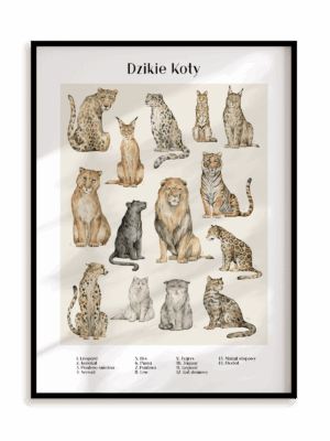 Plakat Dzikie koty w ramie aluminiowej