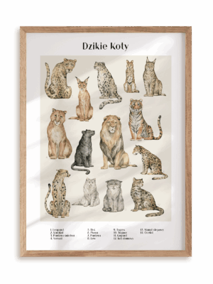 Plakat Dzikie koty w ramie drewnianej
