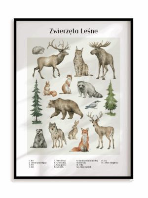 Plakat Zwierzęta leśne w ramie aluminiowej