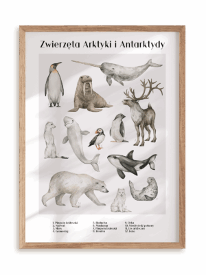 Plakat Zwierzęta Arktyki i Antarktydy w ramie drewnianej