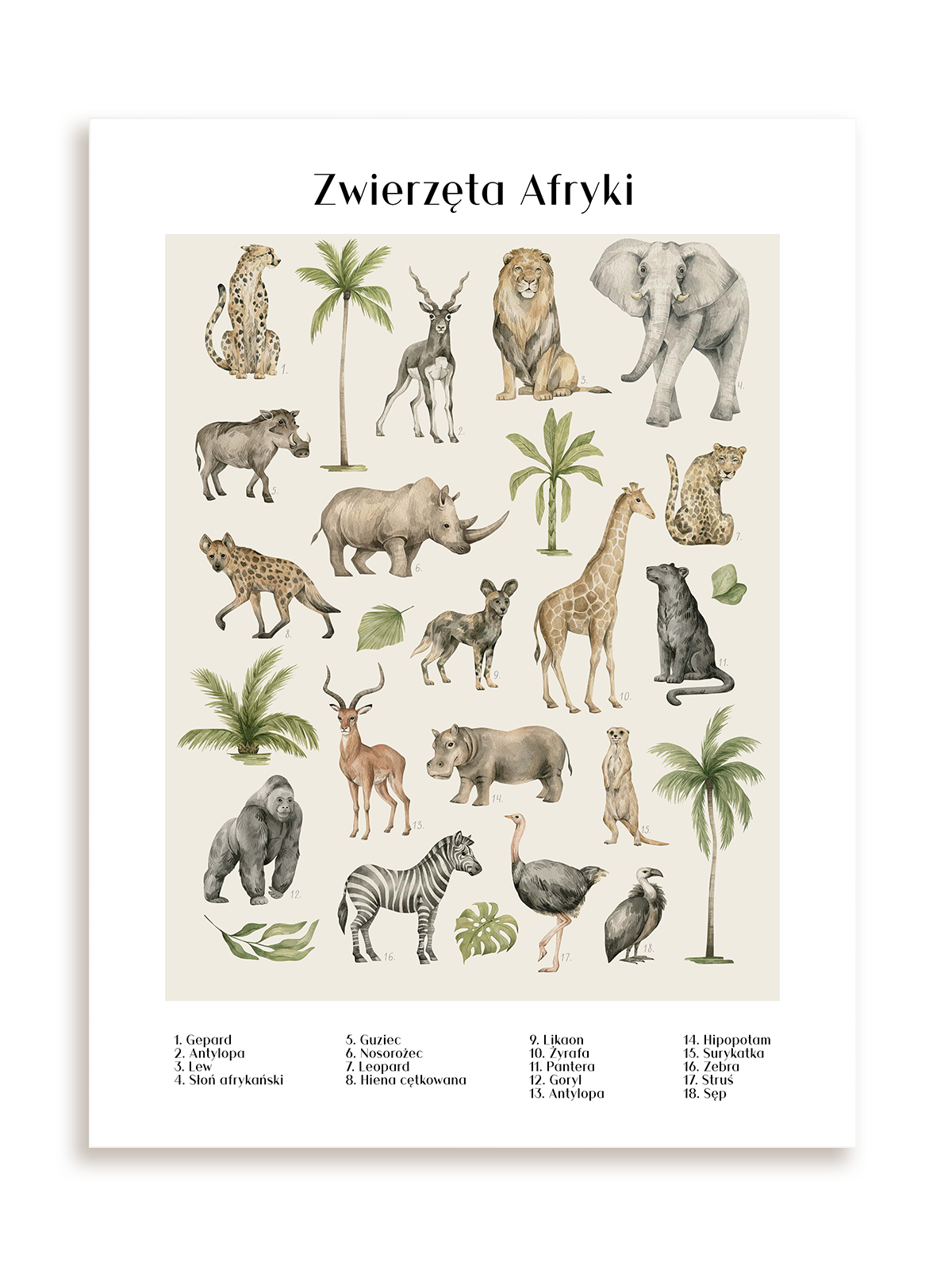 Plakat Zwierzęta Afryki bez ramy