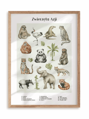 Plakat Zwierzęta w Azji w ramie drewnianej