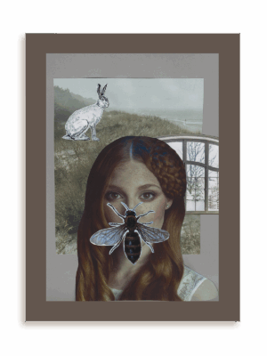 Plakat Okno na świat natury bez ramy