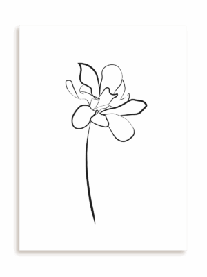 Plakat Kwiatowe linie bez ramy
