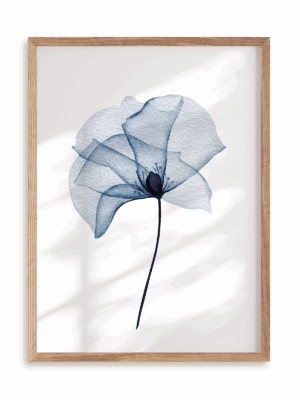 Plakat Niebieska delikatność w ramie drewnianej