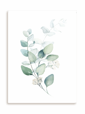 Plakat Pęczek zieleni II bez ramy