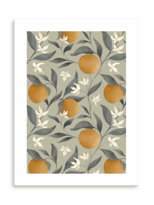 Plakat Vintage oranges bez ramy