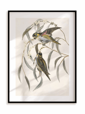 Plakat Ptasia randka w ramie aluminiowej