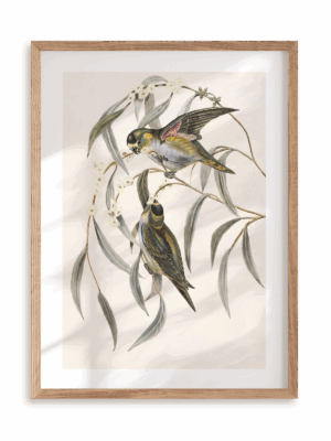 Plakat Ptasia randka w ramie drewnianej