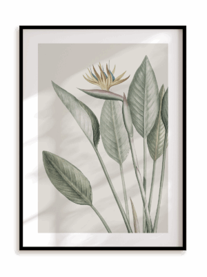 Plakat Egzotyczny kwiat w ramie aluminiowej