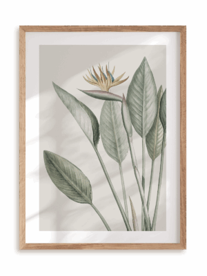 Plakat Egzotyczny kwiat w ramie drewnianej