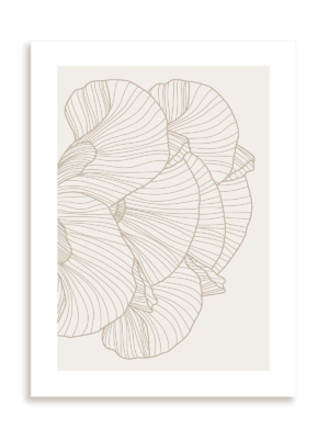 Plakat Wachlarze bez ramy