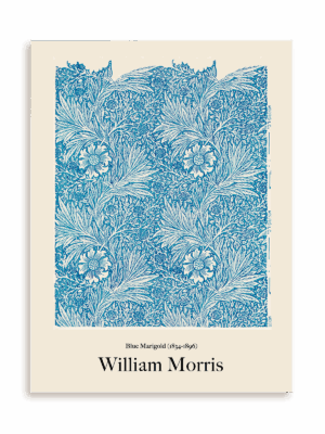 Plakat William Morris - Blue Marigold (1834-1896) bez ramy