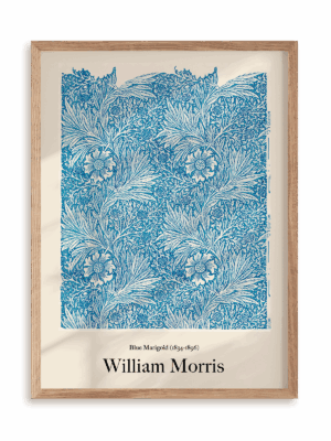 Plakat William Morris - Blue Marigold (1834-1896) w ramie drewnianej