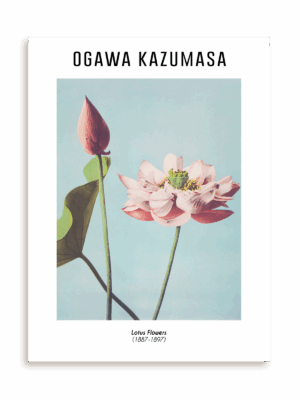 Plakat Ogawa Kazumasa - Lotus Flowers (1887-1897) bez ramy