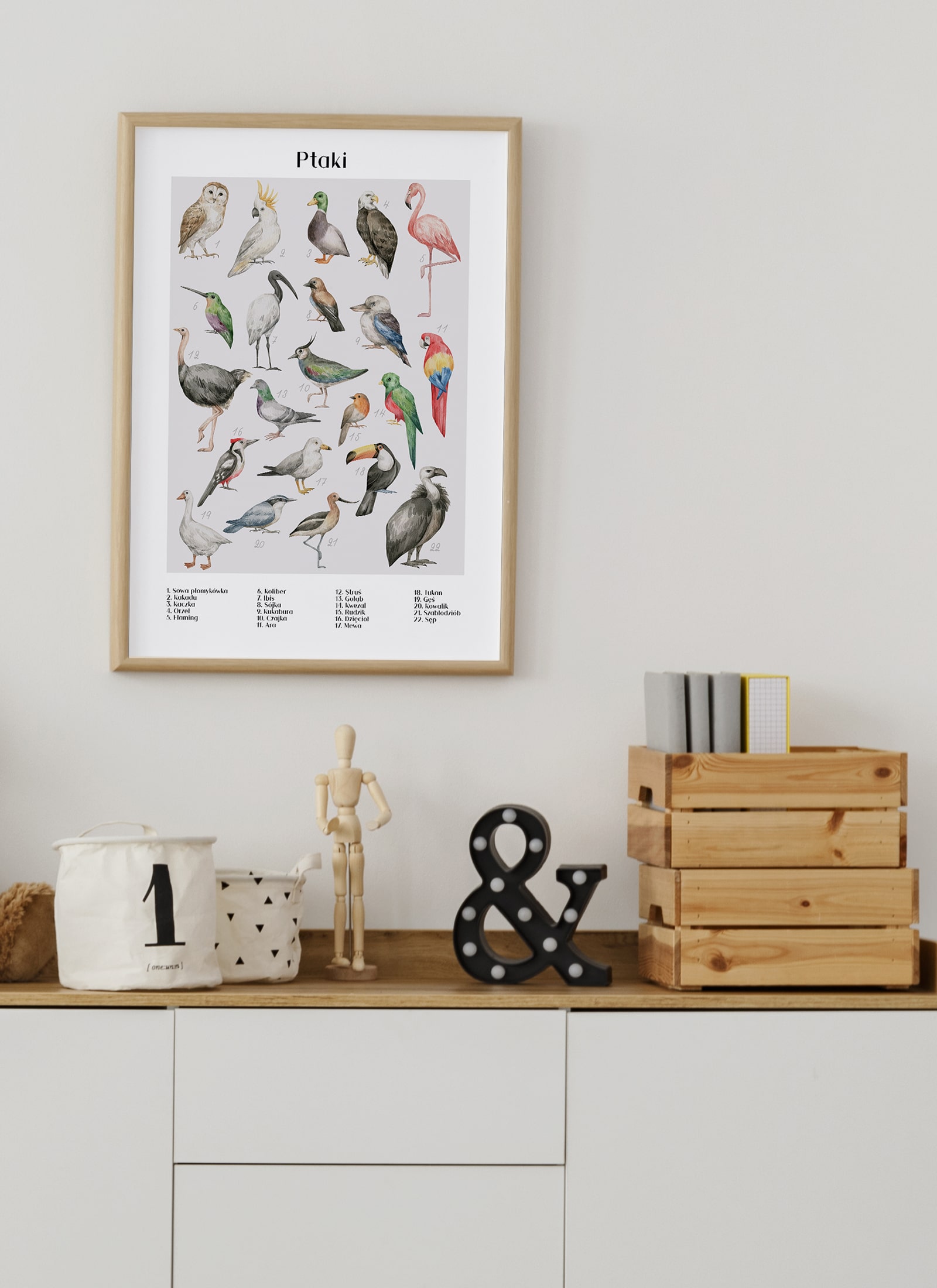 Plakat Gatunki ptaków bez ramy - obrazek 2